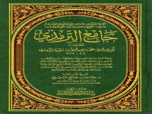 Внешняя обложка изд-ва Байт аль-афкар ад-даулия