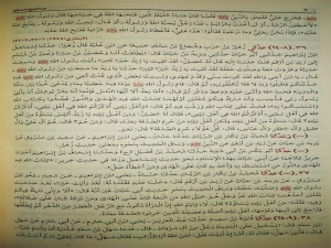 Стр. 894 изд-ва Шарика аль-кудс